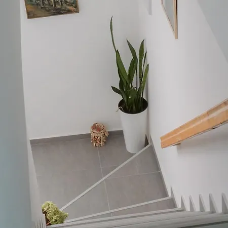 Apartment Bubamara Leskovac (Jablanica)