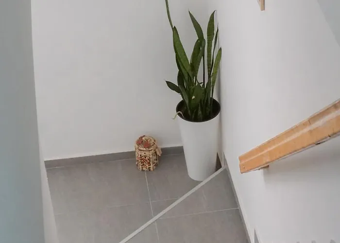 公寓 Bubamara 莱斯科瓦茨