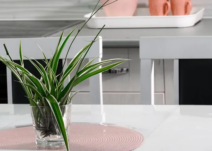 Bubamara * 莱斯科瓦茨