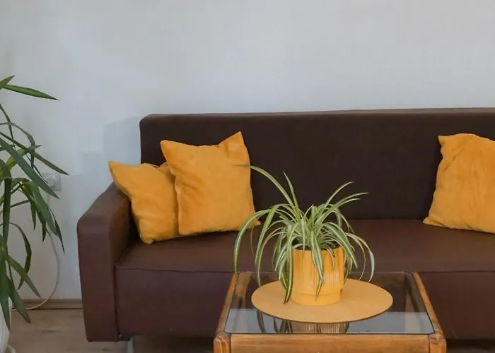 Bubamara * 莱斯科瓦茨